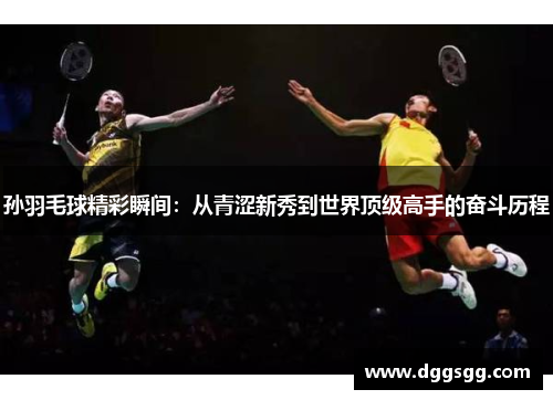 孙羽毛球精彩瞬间：从青涩新秀到世界顶级高手的奋斗历程